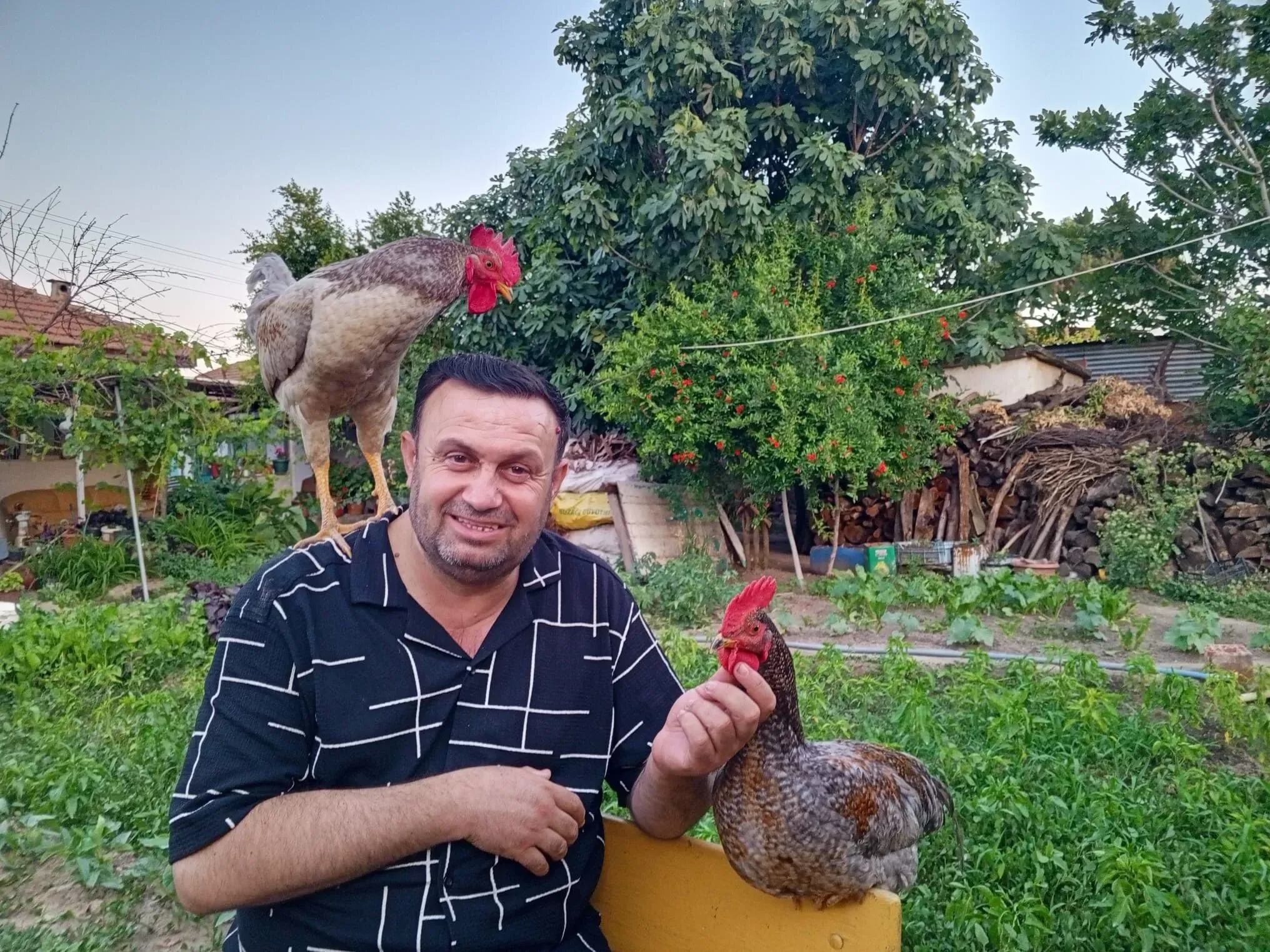 GIRBEY ve GIRALİ