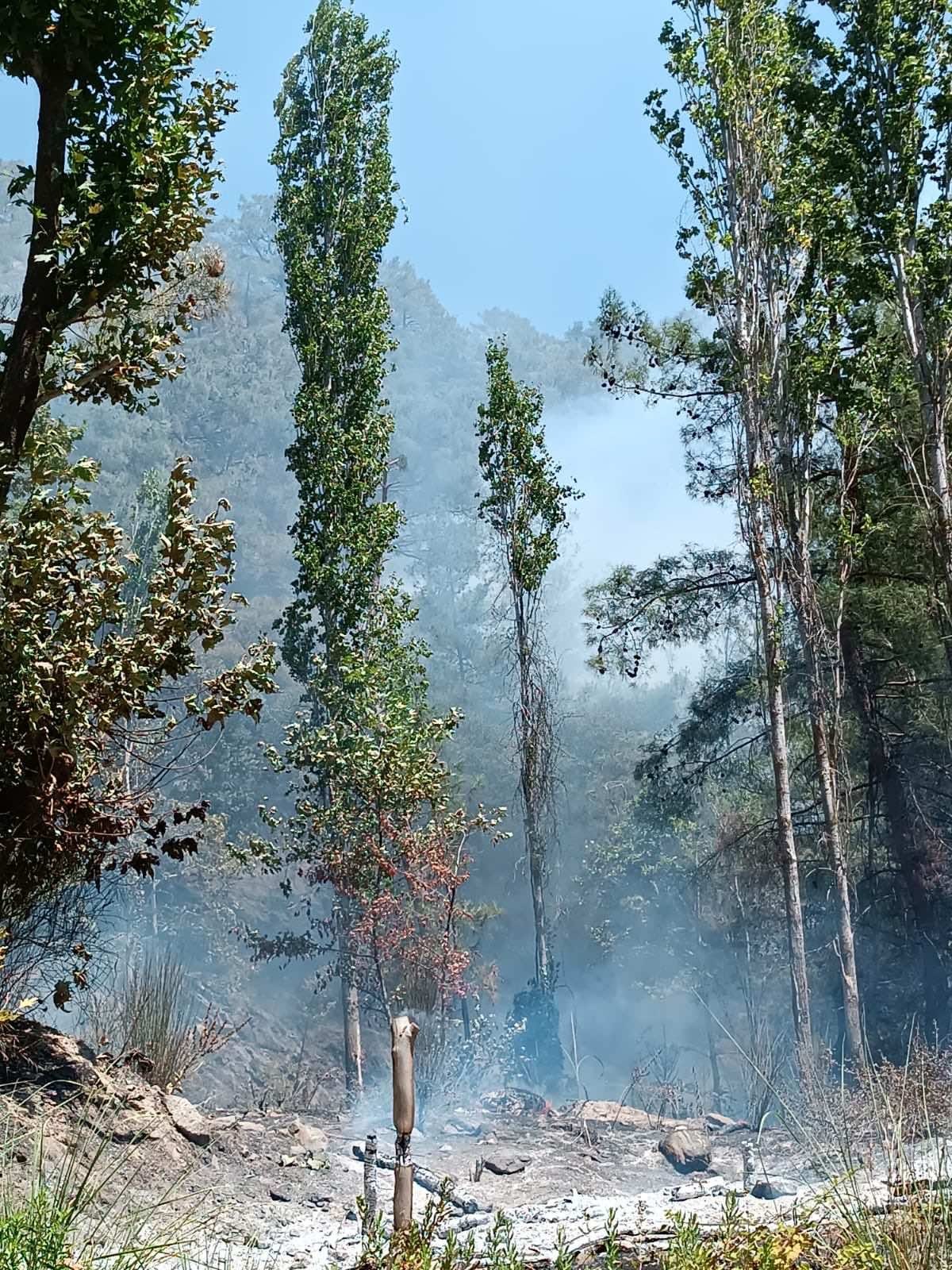 KUYUCAK’TAKİ YANGININ FAİLİ YAKALANDI