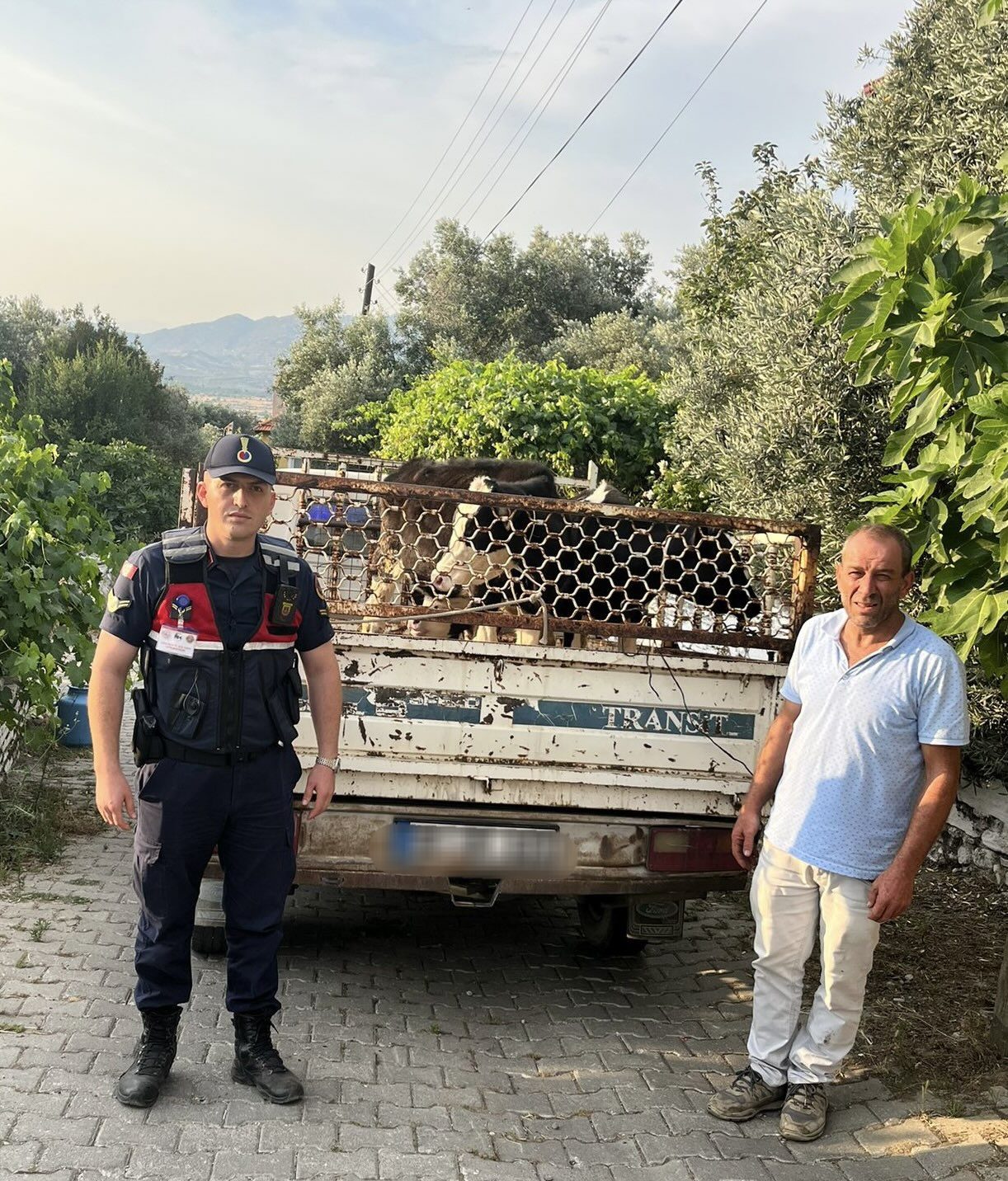Çalıntı Hayvanlar Bulundu