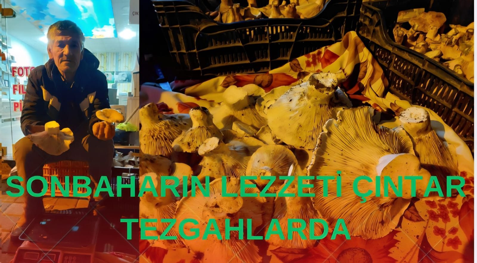 SONBAHARIN LEZZETİ ÇINTAR TEZGAHLARDA