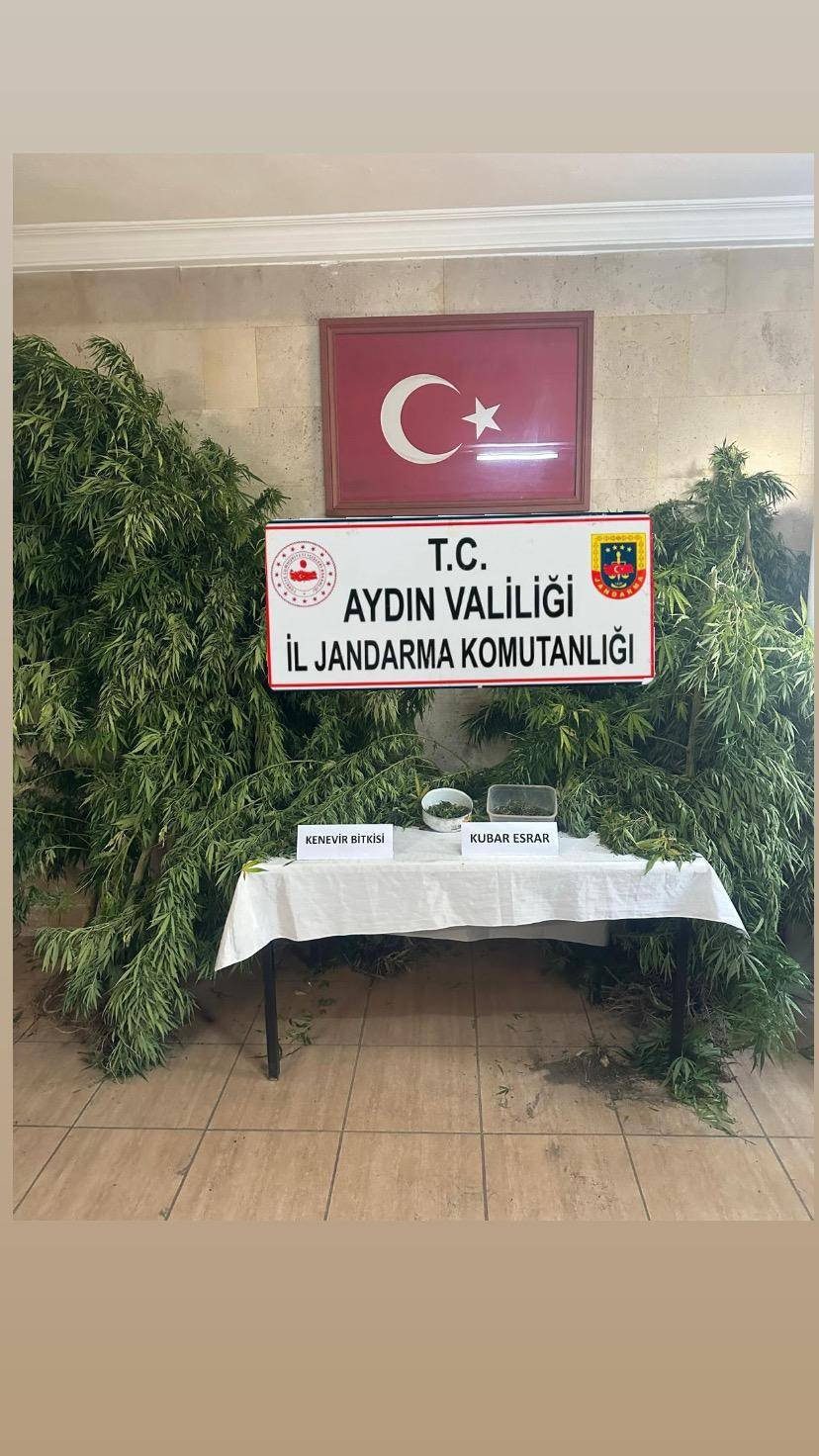 GERMENCİK’TE KENEVİR EKİMİ YAPAN KİŞİ YAKALANDI