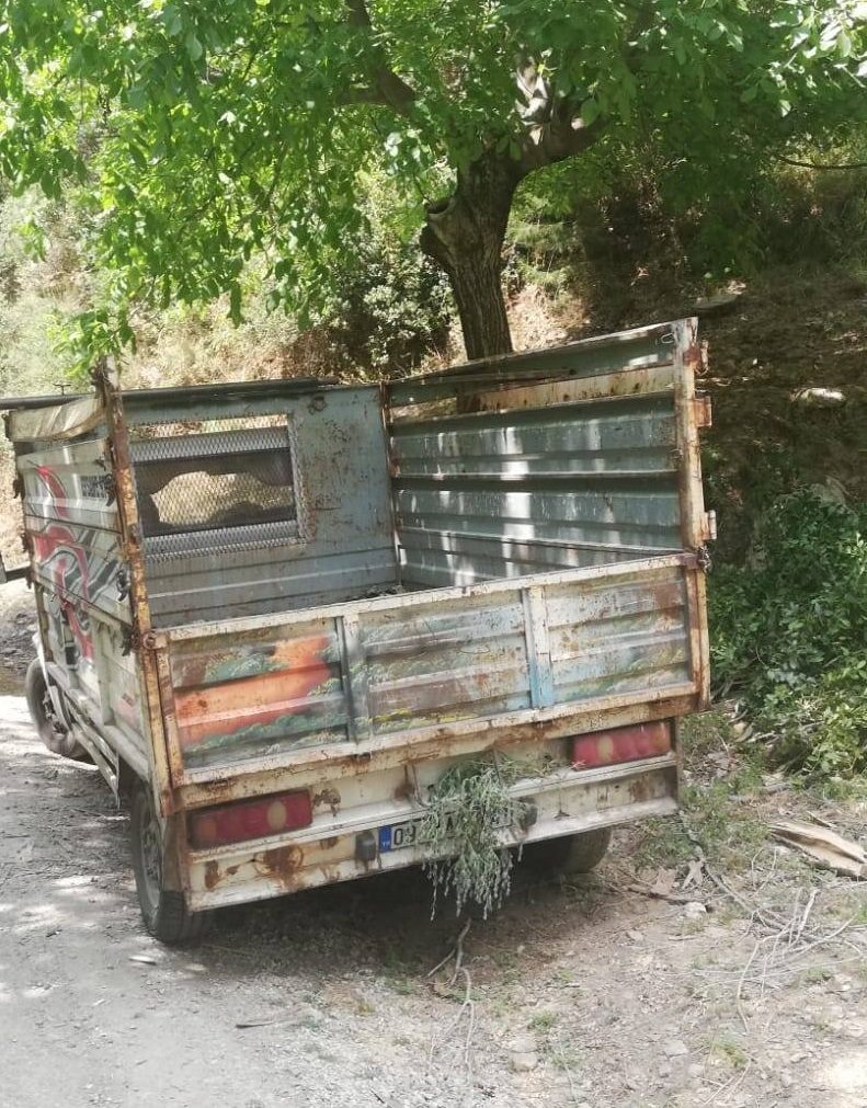 ZEYTİNKÖY’DE AĞAÇ KESEN  KİŞİ YAKALANDI
