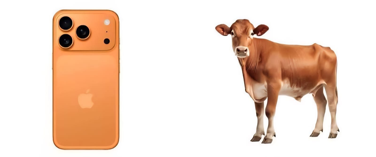 iPhone 17 Yerine Büyükbaş Yatırımı Daha Karlı Olabilir