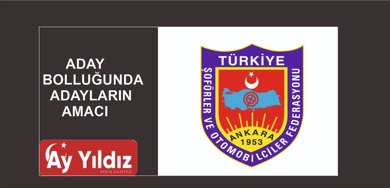 ADAY BOLLUĞUNDA  ADAYLARIN AMACI