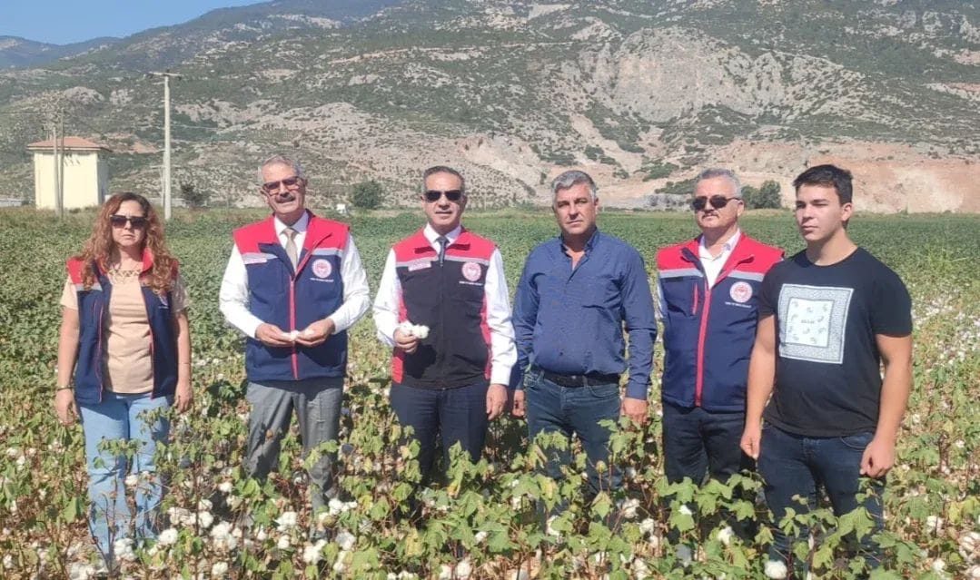Pamukta Kalite ve Verimlilik İncelemesi Söke’de Devam Ediyor