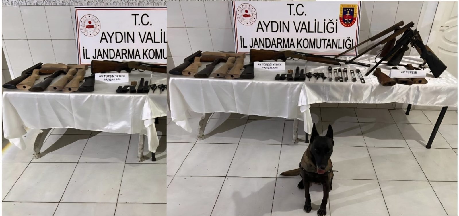 Bozdoğan’da Ruhsatsız Silah Operasyonu: 1 Gözaltı