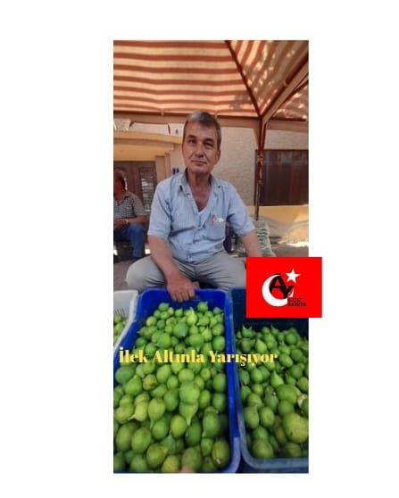 İLEK ALTINLA YARIŞIYOR