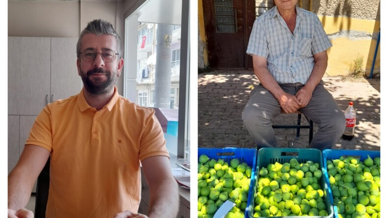 İncir’de İlekleme Dönemi Başladı