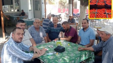 Köşk Ziraat Odası Başkanı Güler ; Domates Üreticisi Zorda