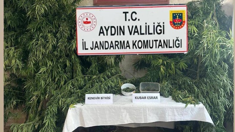 GERMENCİK’TE KENEVİR EKİMİ YAPAN KİŞİ YAKALANDI