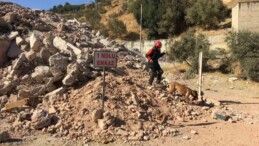 Aydın’da 7.0 büyüklüğünde deprem tatbikatı gerçekleştirildi