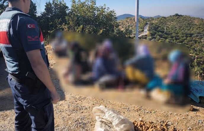 JANDARMA İNCİR HIRSIZLARINI YAKALADI