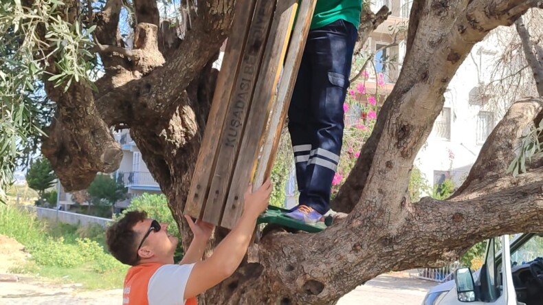 KUŞADASI’NDA VANDALLAR ‘BU KADARINA DA PES’ DEDİRTTİ