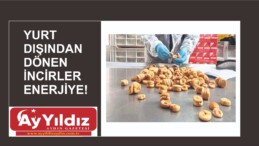 YURT DIŞINDAN DÖNEN İNCİRLER ENERJİYE!