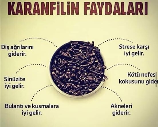 KARANFİLİN FAYDALARI