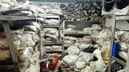 Tonlarca Kaçak ve Bozuk Et ile Balık Ele Geçirildi