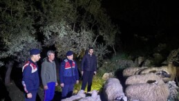 GERMENCİK TE ÇALINAN KOYUNLAR