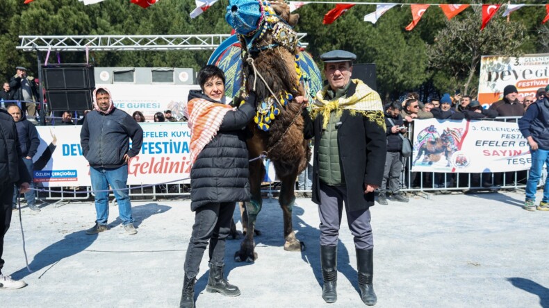 EFELER’DE DEVE GÜREŞİ