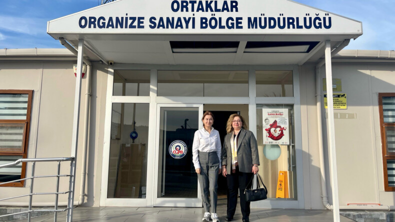 Germencik’in  hamarat kaymakamı: Sultan Doğru