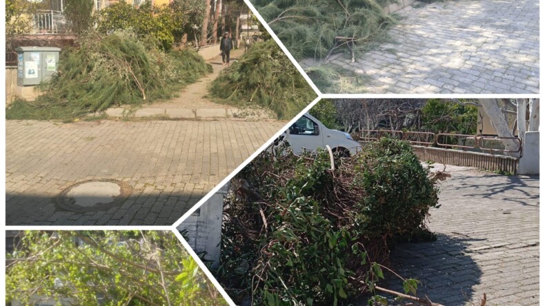 EFELER BELEDİYESİ’NDEN BUDAMA ATIKLARI UYARISI