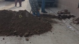 Neresi Doğru Neresi Yanlış