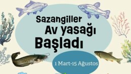 Sazan balığı ve türleri için avlanma yasağı başladı