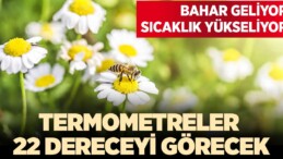 Aydın’da  termometreler 22 dereceyi görecek