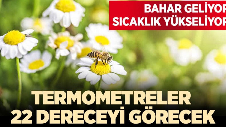 Aydın’da  termometreler 22 dereceyi görecek