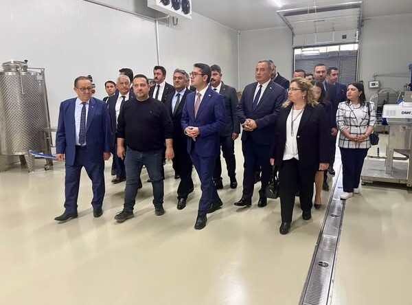 KAYMAKAM DOĞRU BAKAN YARDIMCISI İLE İNCELEMELER DE BULUNDU