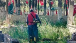 EFELER BELEDİYESİ MEZARLIKLARDA BAKIM ÇALIŞMALARINI SÜRDÜRÜYOR