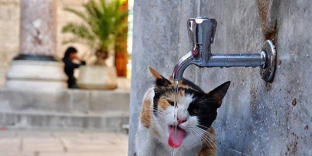 EMANETE SAHİP ÇIKALIM