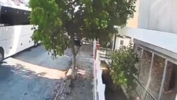 Yolda yatan köpeği ezip yoluna devam etti