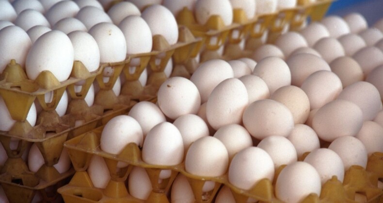 Yumurta fiyatlarında marketlere sert eleştiri! YUMBİR: Düşüşte yavaş kalıyorlar