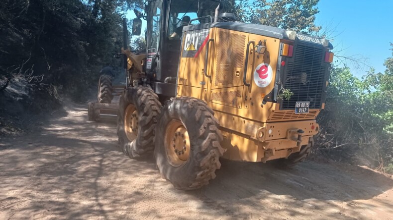 EFELER’DE YANGININ İZLERİ SİLİNİYOR