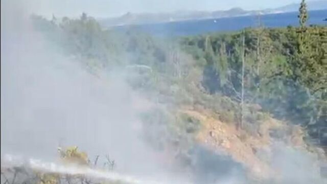 SÖKE’DE ÇIKAN ORMAN YANGINI SÖNDÜRÜLDÜ