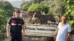 Çalıntı Hayvanlar Bulundu