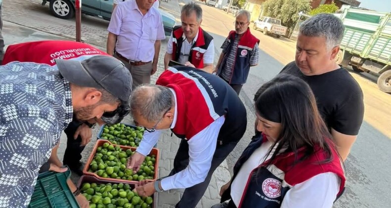 İLEK ALIM SATIM YERLERİNİN DENETİMLERİ DEVAM EDİYOR