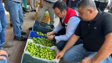 İncirliova İlek Denetimlerini Aralıksız Sürdürüyor