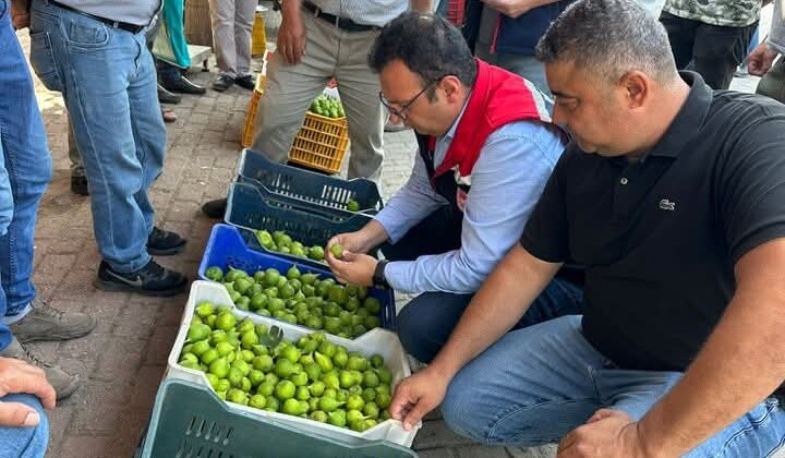İncirliova İlek Denetimlerini Aralıksız Sürdürüyor