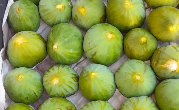 YILIN İLK TAZE İNCİRLERİ TEZGAHLARDAKİ YERİNİ ALDI