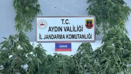 UYUŞTURUCU OPERASYONU