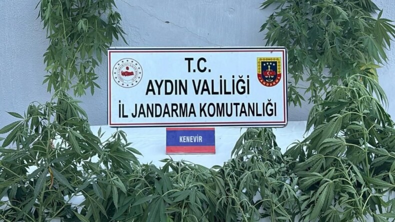 UYUŞTURUCU OPERASYONU