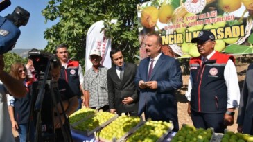 BUHARKENT’TE İNCİR HASADI COŞKUSU