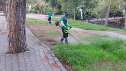 EFELER’DE YAZ TEMİZLİĞİ HIZ KESMİYOR: VATANDAŞLARDAN BAŞKAN YETİŞKİN’E TEŞEKKÜR