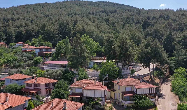 Karacasu Belediyesi’nden yangın uyarısı: “Bir kıvılcım, bir felakete sebep olabilir”