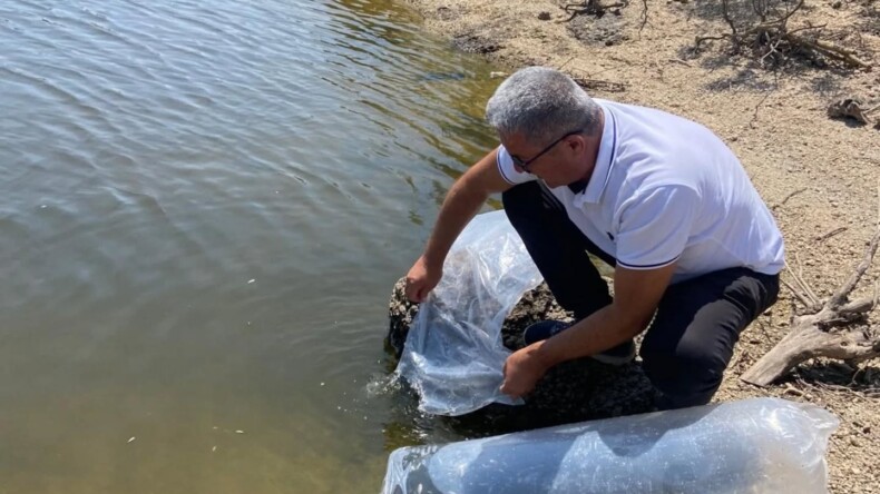 22 Bin Yavru Balık Göletlere Bırakıldı