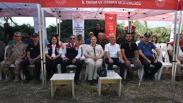 Germencik’te Sorgum Sudan Otu Melezi Hasadı