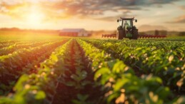 İki Yıl Üst Üste İşlenmeyen Tarım Arazilerinin Durumu