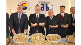 Aydın’da sezonun ilk kuru inciri 800 TL’den satışa sunuldu