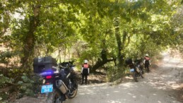 JANDARMADAN ORMANLARA GENEL KONTROL